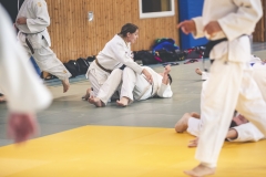 Judo104