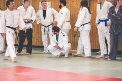 Judo113